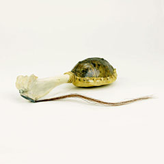 Hochet Abénaki fait d'une carapace de tortue et d'un os.