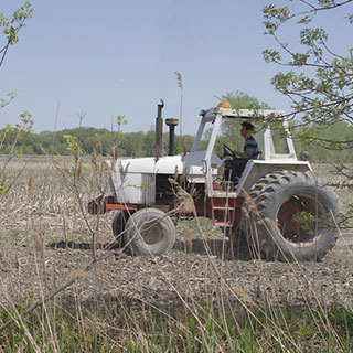 A man driving a tractor in a farm field.