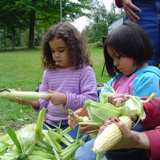 Two girls with Latin American features peel corn cobs in a park.